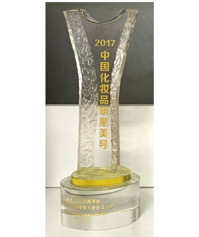 2017中国化妆品明星美导