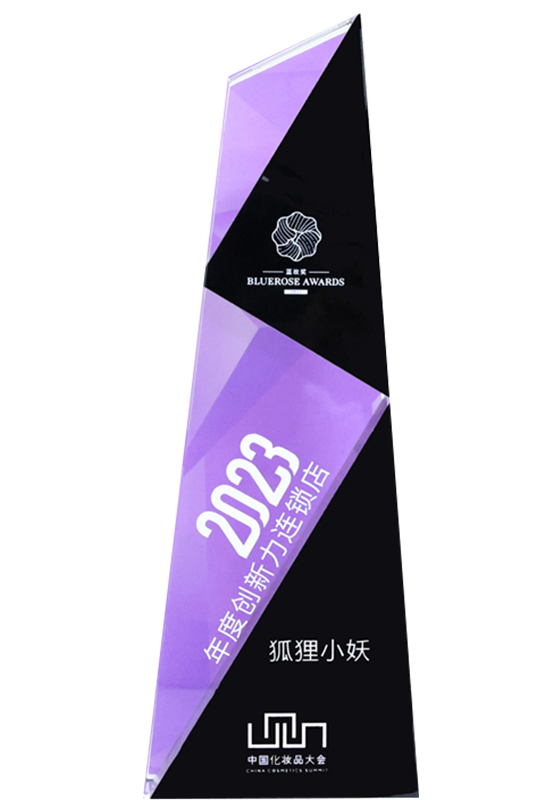 2023年度创新力连锁店蓝玫奖